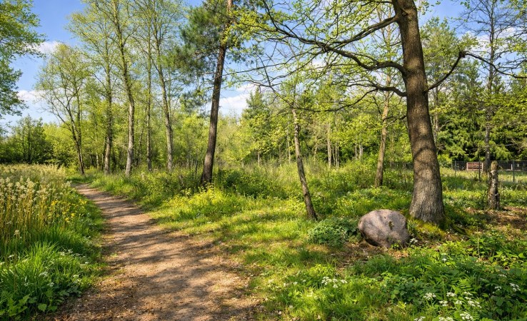 działka na sprzedaż - Bodzanów, Białobrzegi