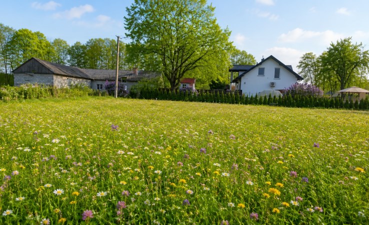 działka na sprzedaż - Nowy Duninów, Dzierzązna