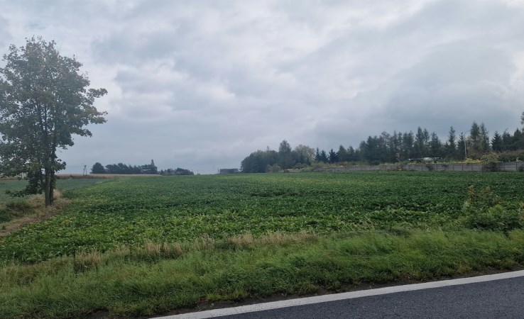 działka na sprzedaż - Stara Biała, Bronowo-Zalesie